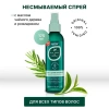 Несмываемый спрей  с  маслом чайного дерева и розмарином Hask Tea Tree Oil & Rosemary Invigorating Leave-In Spray 175 мл