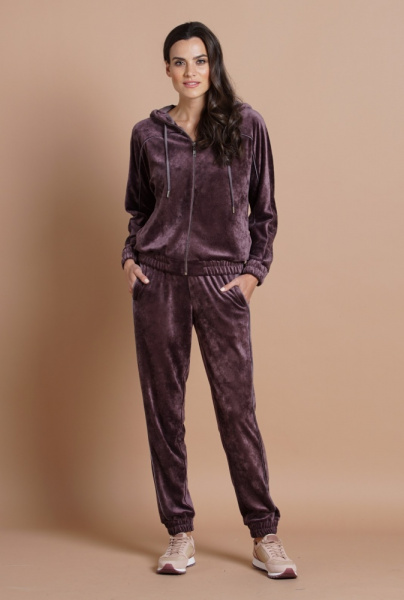 Велюровый спортивный костюм с капюшоном