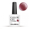 Гель-лак для ногтей Solomeya Color Gel