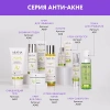 Успокаивающий тоник для жирной и проблемной кожи Aravia Anti-Acne Tonic, 250 мл