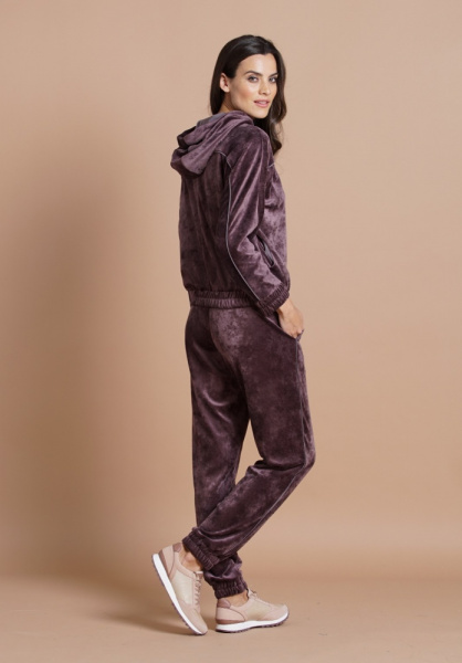 Велюровый спортивный костюм с капюшоном