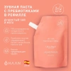 Зубная паста с пребиотиками Душистый чай и мята в рефилле HAAN TOOTHPASTE LIFE'S A BEACH, 150 мл
