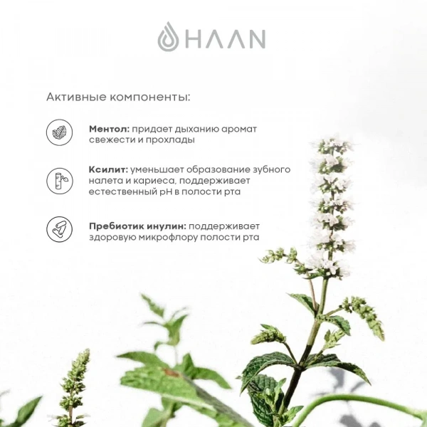 HAAN Спрей для полости рта с пребиотиками без спирта Душистый чай и мята /MOUTH SPRAY LIFE'S A BEACH, 20 мл