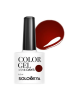 Гель-лак Solomeya Color Gel Real Marsala/Марсала 121